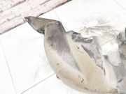 Radhausschale - Hinten Linke Peugeot 207, 2009.06 - 2012.12 facelift Gebraucht,