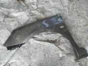 Kotfl?gel - Vorne Linke Peugeot 307, 2000.08 - 2005.06 pilkas,