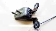 Türscharnier Vorne Renault Vel Satis, 2002.06 - 2009.12 Gebraucht,