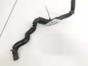 Kühlerschlauch Nissan Primera, P12 2002.01 - 2008.12 Gebraucht,