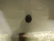 Waschwasserdüse Scheibenreinigung Hyundai Getz, 2002.08 - 2009.06 Gebraucht,