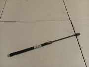 Gasfeder für Motorhaube Volkswagen Polo, IV 2005.04 - 2009.11 facelift GS601113423, GS601113423 2702019 BNM