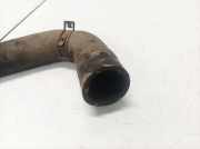 K?hlerschlauch Nissan Qashqai, I 2006.01 - 2010.06 Gebraucht,