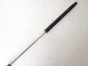 Gasdruckfeder Kofferraum Renault Laguna, II 2001.03 - 2006.05 Gebraucht,