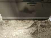 Zierleiste Tür Zier-Schutzleiste - Hinten Linke Audi A2, 2000.02 - 2005.08 Gebraucht,