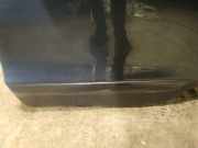 Zierleiste Tür Zier-Schutzleiste - Hinten Linke Honda FR-V, 2004.08 - 2009.12 Gebraucht,