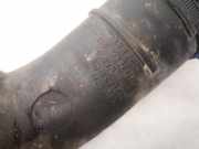 Schlauch für Luftversorgung Renault Scenic, I 1996.01 - 1999.09 7700109435,