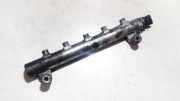 Kraftstoffverteiler Chevrolet Captiva, 2006.01 - 2011.06 0445214174, 072738