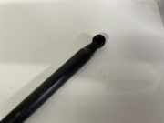 Gasdruckfeder Kofferraum Citroen C3 Picasso, I 2009.02 - 2012.06 Gebraucht,