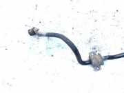 Stabilisator Vorne Ford Focus, 2004.11 - 2008.06 Gebraucht,