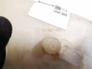 Beh?lter Bremsfl?ssigkeit Volkswagen LT, 1996.06 - 2006.12 a0024314502, AUH