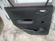 Türverkleidung - Hinten Linke Mercedes-Benz A-CLASS, W169, 2004.09 - 2008.09 Gebraucht,