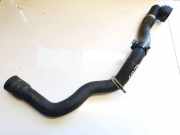 K?hlerschlauch Ford Kuga, I 2008.01 - 2012.06 AV418286AC,AV41-8286-AC PHX127878R0