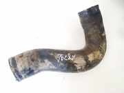 Intercooler Schlauch Fiat Ulysse, II 2002.06 - 2014.12 Gebraucht,