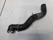 Kühlerschlauch Fiat Stilo, 2001.10 - 2007.01 Gebraucht ,