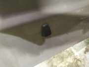 Waschwasserdüse Scheibenreinigung Volvo XC90, 2002.10 - 2007.06 Gebraucht,