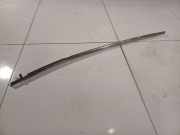 Zierleiste Leiste - Hinten Linke Honda Accord, 2005.09 - 2008.05 facelift Gebraucht,
