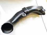 Schlauch für Luftversorgung Renault Zoe I 2012 - 2020.06 00119503,