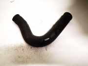 K?hlerschlauch Ford Sierra 1982 - 1993 88bb8260ba,