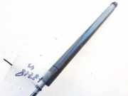 Gasdruckfeder Kofferraum Renault Scenic, II 2003.06 - 2006.06 8200119500,