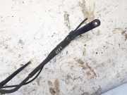 Windschutzscheibe Scheibenwischer Iveco Daily, 2000.01 - 2005.12 Gebraucht,