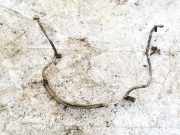 Servoleitung Leitung Servo Servoschlauch Schlauch Nissan X-Trail, 2001.06 - 2007.06 Gebraucht,