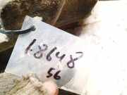 Radhausschale - Vorne Rechts Citroen C5, II 2008.02 - 2011.01 Gebraucht,