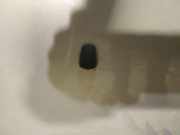 Waschwasserdüse Scheibenreinigung Mazda 3, BK 2003.10 - 2009.06 Gebraucht,