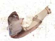 Schlauch für Luftversorgung Renault Zoe I 2012 - 2020.06 295549143r,