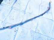 Kopfairbag - Vorne Rechts Porsche Cayenne, 2002.01 - 2010.06 7l5880742d,