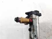 Einspritzdüse Volvo S40, 2004.01 - 2007.03 8627815,
