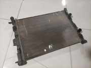 Wasserkühler Renault Scenic, II 2003.06 - 2006.06 Gebraucht,