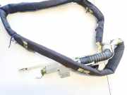 Kopfairbag - Vorne Rechts Renault Scenic, II 2003.06 - 2006.06 6009402,aa-55f10-2003