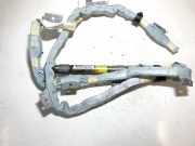 Kopfairbag - Vorne Linke Toyota Prius, 2003.06 - 2009.01 313791808q43,