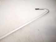 Zierleiste Leiste - Hinten Linke Audi A6, C6 2005.01 - 2008.10 Gebraucht,