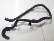 Kühlerschlauch Citroen C4 Grand Picasso, I 2006.01 - 2013.06 Gebraucht,