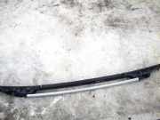 Dachreling Rechts Dacia Sandero, II 2012.03 --> 738204651r,