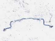 Stabilisator Vorne Opel Astra, H 2004.03 - 2009.12 Gebraucht,