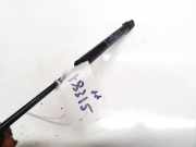 Gasfeder für Motorhaube Chrysler 300C, I 2005.01 - 2010.06 24359,