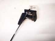 T?rscharnier Hinten Audi A6, C5 1997.01 - 2001.08 Gebraucht,