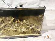 Wasserk?hler Mitsubishi Outlander, I 2003.01 - 2006.12 Gebraucht,