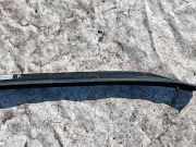 Dachreling Rechts Nissan X-Trail, 2001.06 - 2007.06 738328H300,