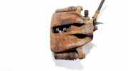 Bremssattel - Vorne Rechts Volkswagen Golf, III 1993.07 - 1999.04 Gebraucht,