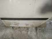 Zierleiste Tür Zier-Schutzleiste - Hinten Linke Skoda Praktik, I 2006.01 - 2010.06 Gebraucht,