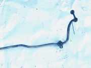 Stabilisator Stabi Hinten Hinterachse Opel Vectra, C 2002.04 - 2005.10 Gebraucht,