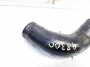 Intercooler Schlauch Nissan Primera, P12 2002.01 - 2008.12 Gebraucht,