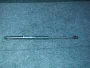 Gasdruckfeder Kofferraum Fiat Punto, 1999.09 - 2005.10 Gebraucht ,