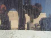 Waschwasserdüse Scheibenreinigung Volkswagen Golf, III 1993.07 - 1999.04 Gebraucht,