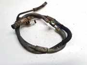 K?hlerschlauch Citroen C-Crosser, I 2007.01 - 2012.12 Gebraucht,