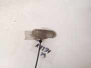 Innenraumleuchte Renault Megane, II 2002.11 - 2006.06 8200120715,